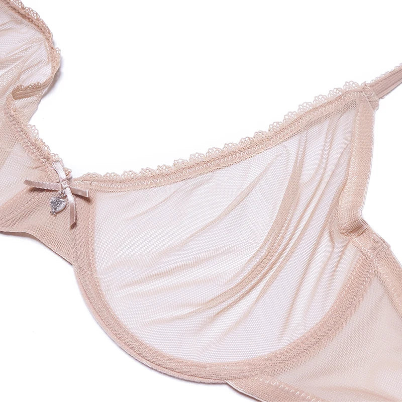 Push Up Lace Transparent Bra and 2-Pack Panties Set
