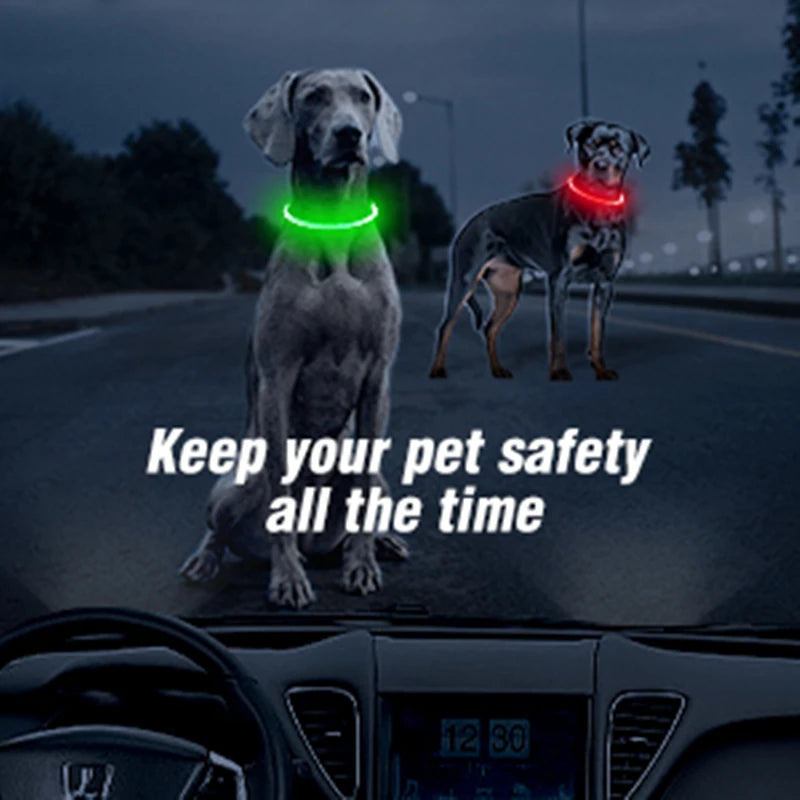 USB Rechargeable LED Luminous Safety Dog Collar - Cut-to-Fit