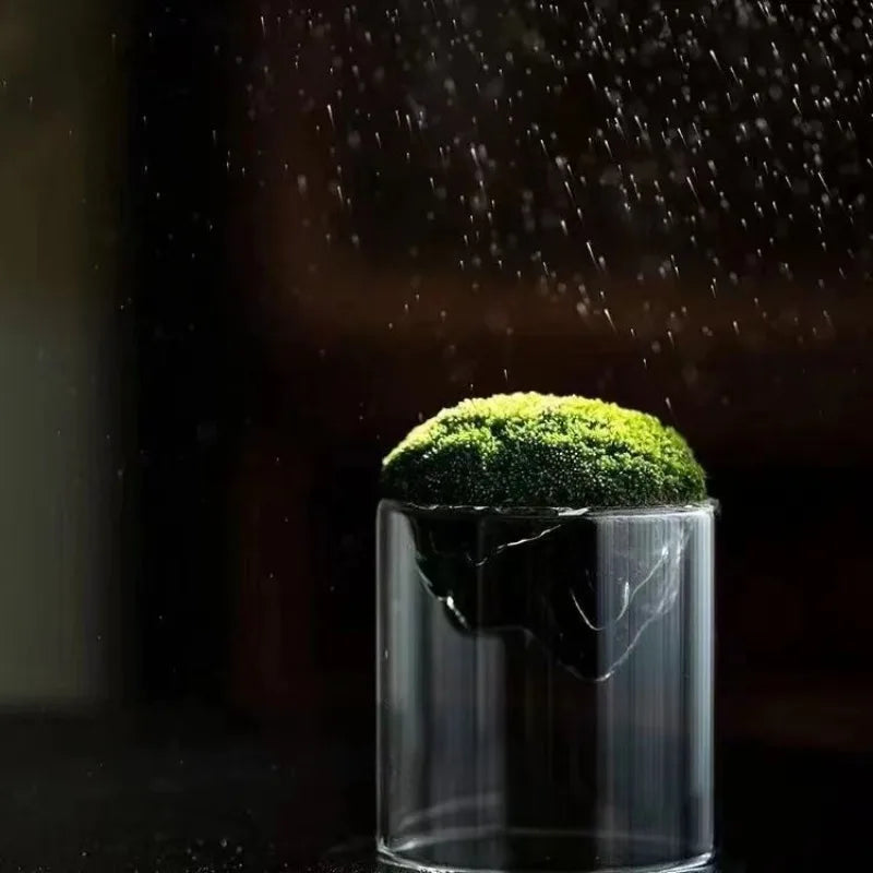 Thicken Glass Moss Bottle Creative Floating Mountain Micro-landscape Ecological Bottle Home Decorations Hydroponic Plant Vase
