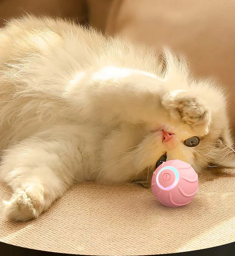 Brinquedos Inteligentes para Gatos Bola Rolante Brinquedo Interativo para Animais de Estimação Bola Saltarola Automática USB Auto provocador Brinquedos para Gatinhos Bola Saltaroca