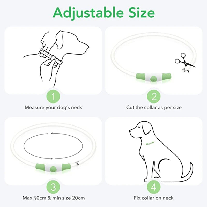 USB Rechargeable LED Luminous Safety Dog Collar - Cut-to-Fit