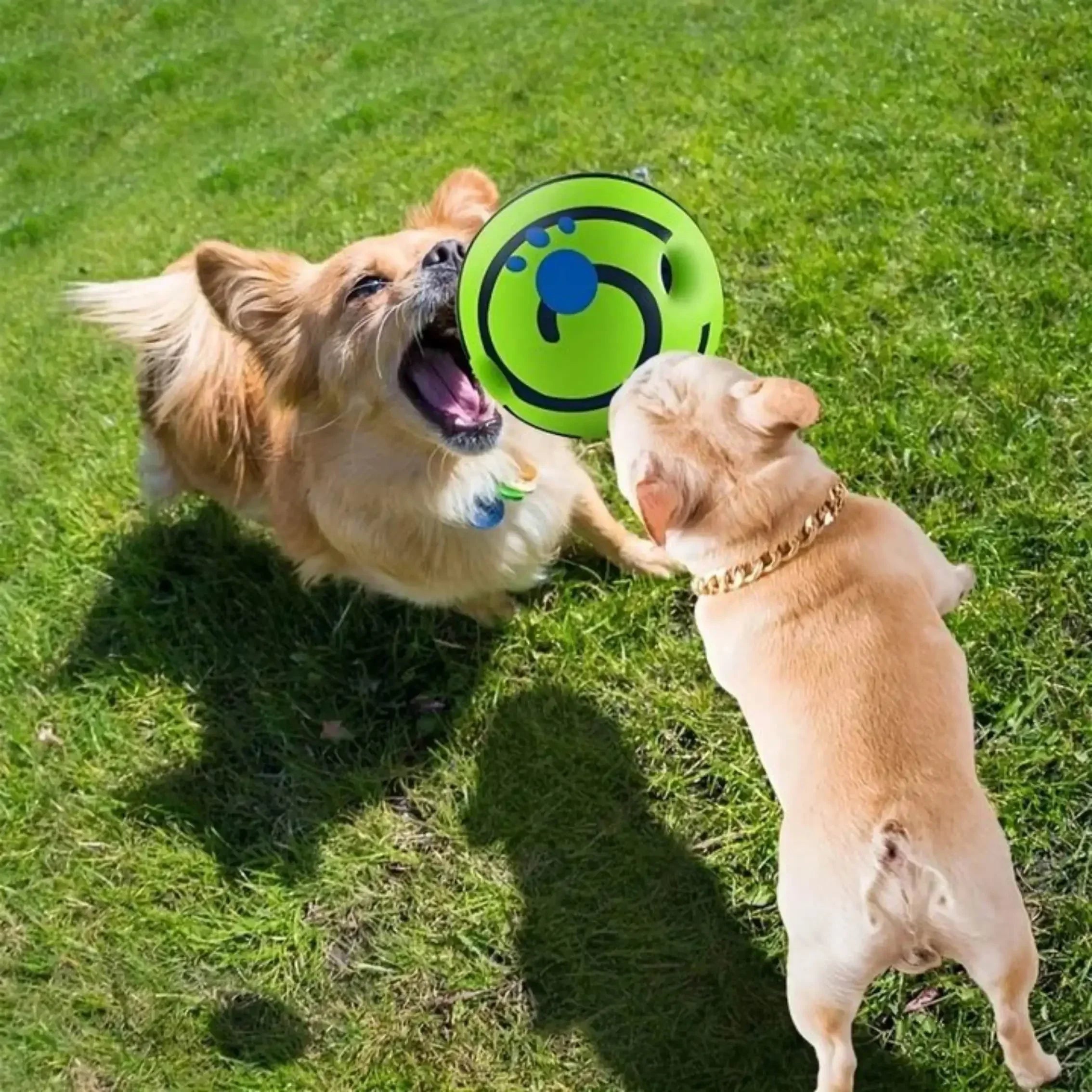 Interactive Wobble Wag Giggle Sound Emitting Glow Ball