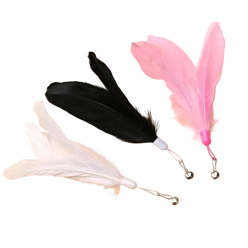 Professional Suction Cup Simulation Bird Feather Cat Teaser Wand