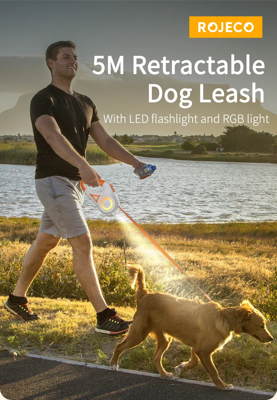 5M LED Luminous Retractable Dog Leash for Night Safety