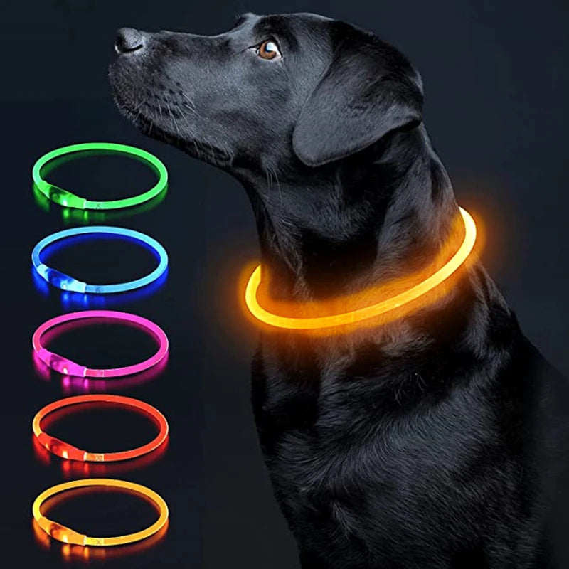 USB Rechargeable LED Luminous Safety Dog Collar - Cut-to-Fit