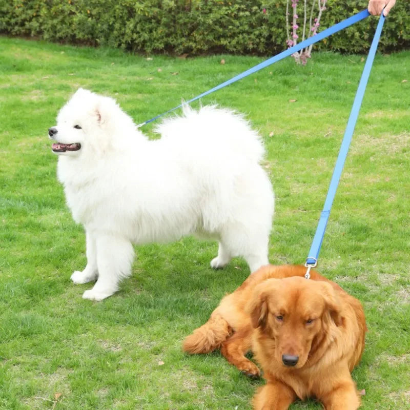 230cm Hands-Free Adjustable Multifunctional Nylon Dog Leash