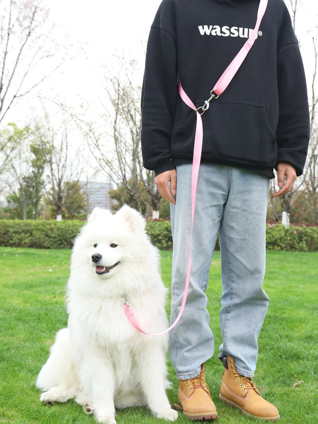 230cm Hands-Free Adjustable Multifunctional Nylon Dog Leash