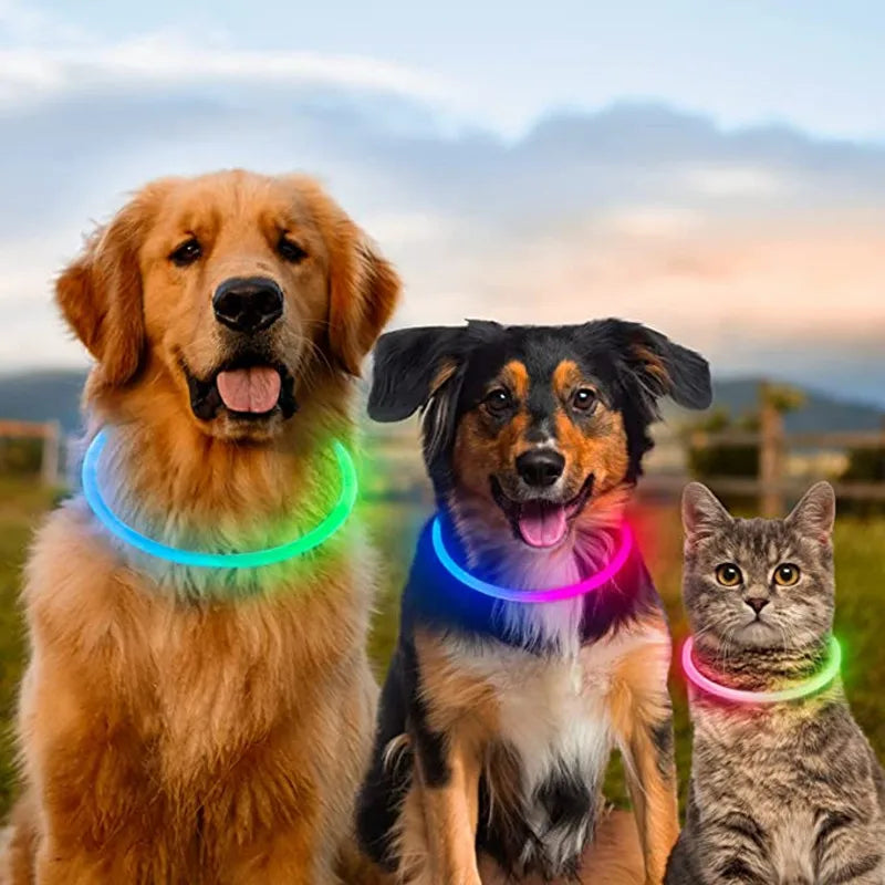 USB Rechargeable LED Luminous Safety Dog Collar - Cut-to-Fit