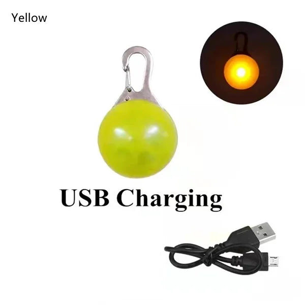 Rechargeable LED Pet Collar / Sports Pendant for Night Safety Visibility