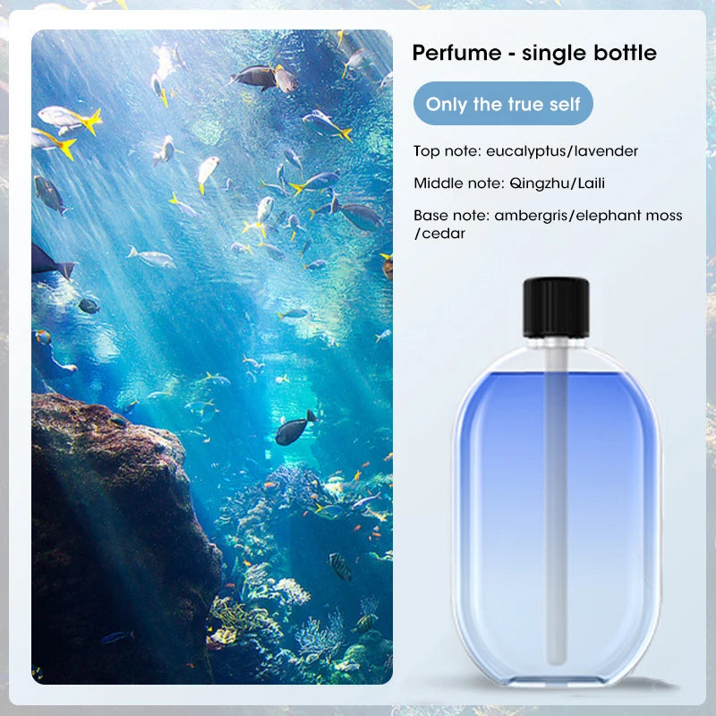 Smart 5-Speed Essential Oil Diffuser and Household Deodoriser