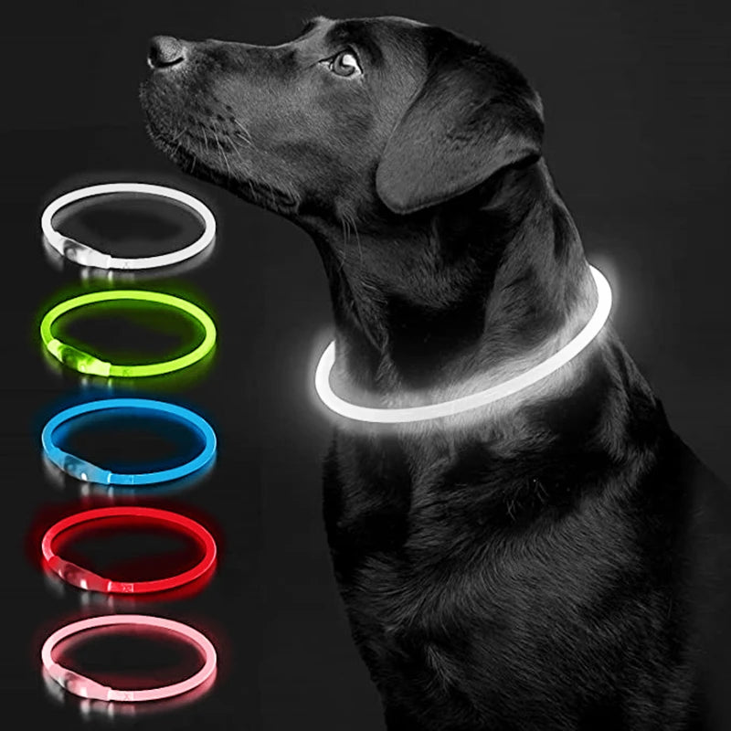 USB Rechargeable LED Luminous Safety Dog Collar - Cut-to-Fit