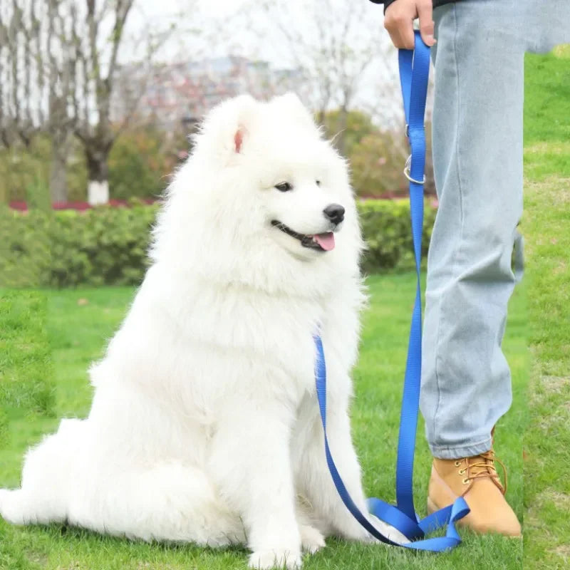 230cm Hands-Free Adjustable Multifunctional Nylon Dog Leash