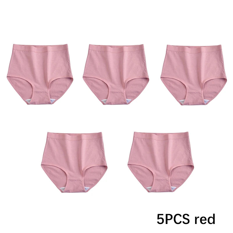 Multicolor Seamless No Show High Waist Knickers 5-Pack