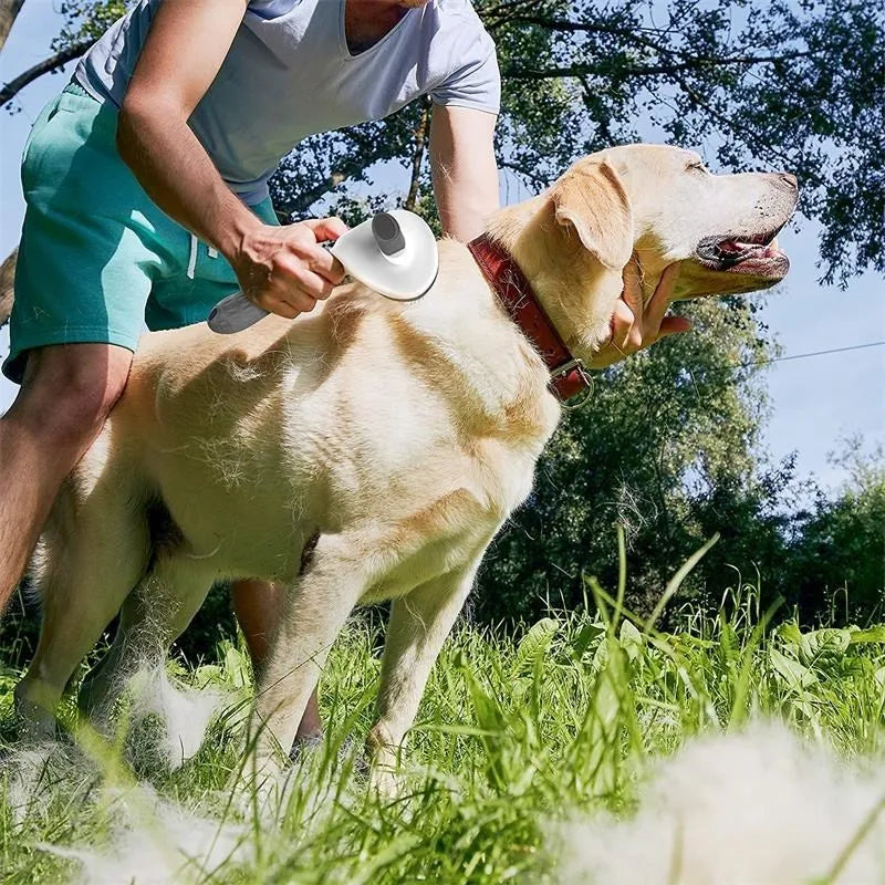 Self-Cleaning Stainless Steel Pet Grooming Brush for Dogs & Cats