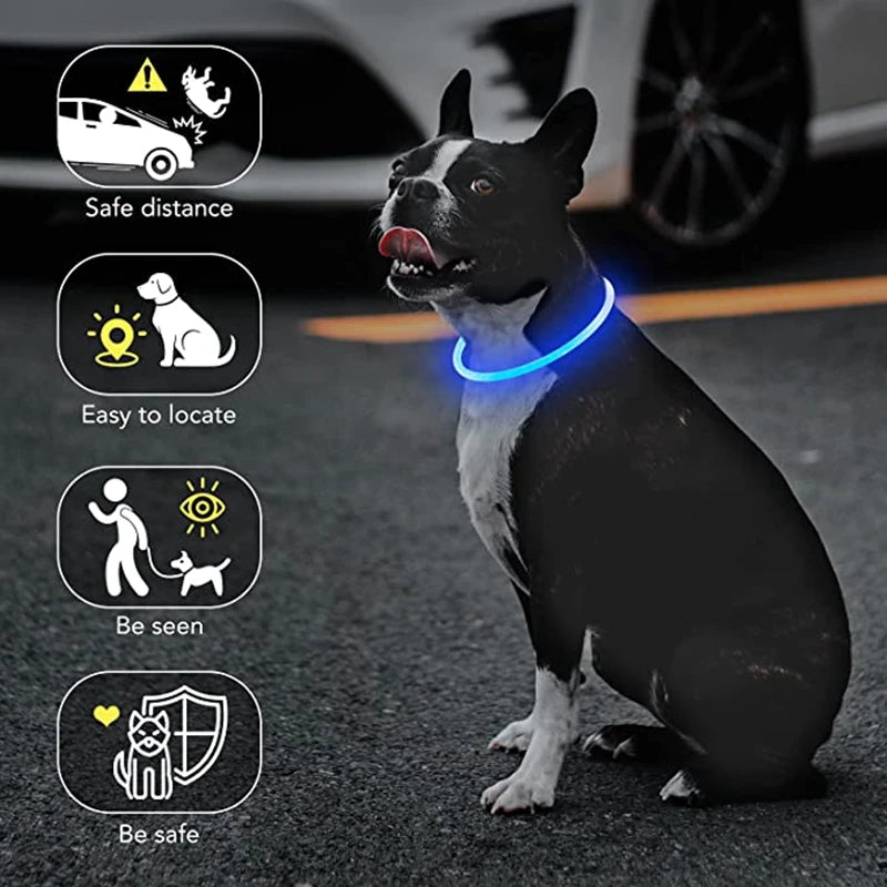 USB Rechargeable LED Luminous Safety Dog Collar - Cut-to-Fit