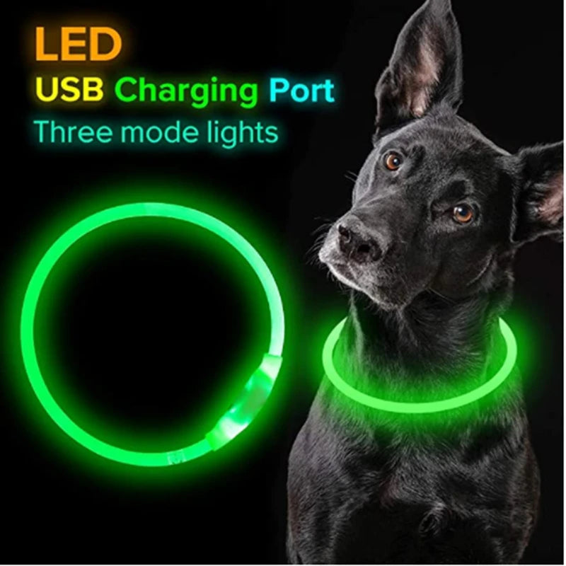 USB Rechargeable LED Luminous Safety Dog Collar - Cut-to-Fit