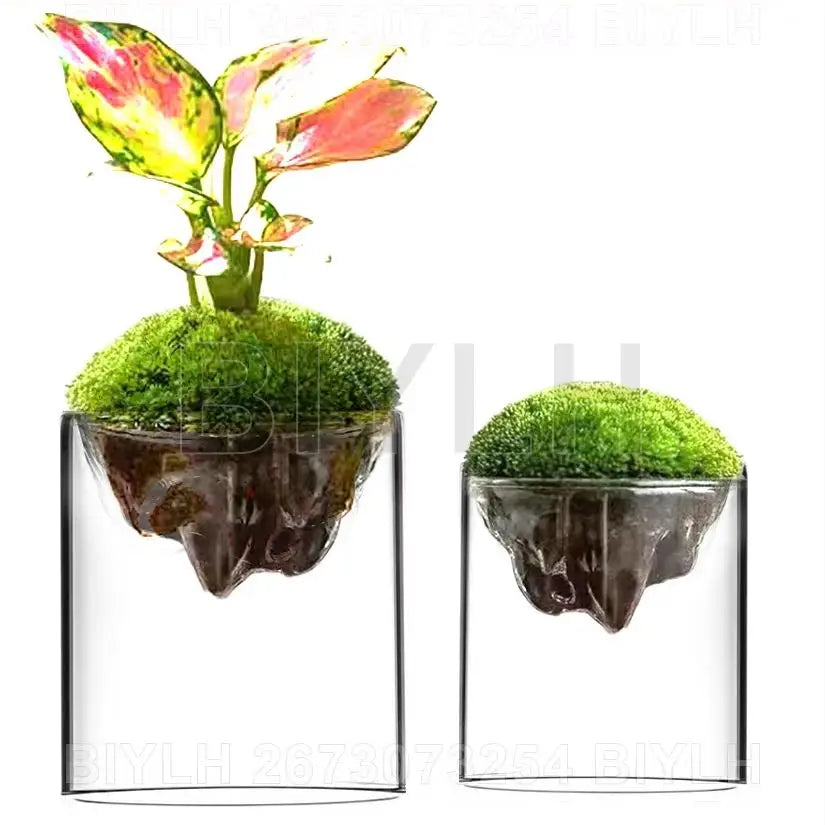 Thicken Glass Moss Bottle Creative Floating Mountain Micro-landscape Ecological Bottle Home Decorations Hydroponic Plant Vase