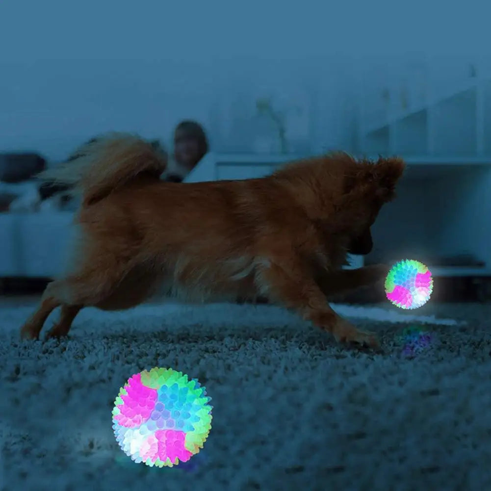 LED Glowing Elastic TPR Interactive Pet Toy Ball