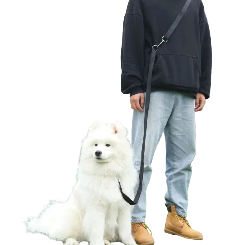 230cm Hands-Free Adjustable Multifunctional Nylon Dog Leash