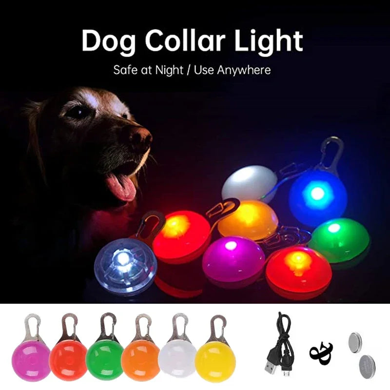 Rechargeable LED Pet Collar / Sports Pendant for Night Safety Visibility