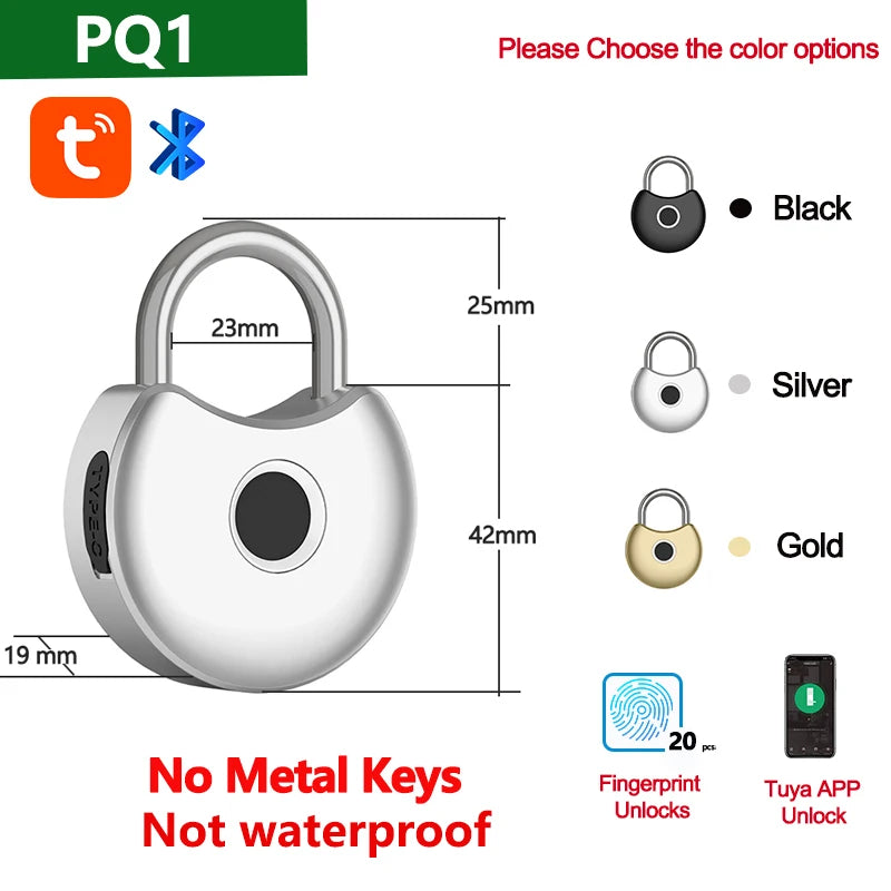 RAYKUBE Tuya Smart Padlock Fingerprint Waterproof USB Charging Quick Identification Unlock Sensor High Quality P70/P55/PQ1