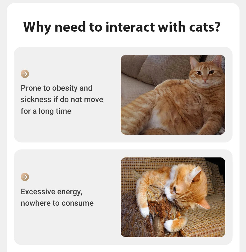 Smart Automatic Electric Laser Toy for Cats and Dogs