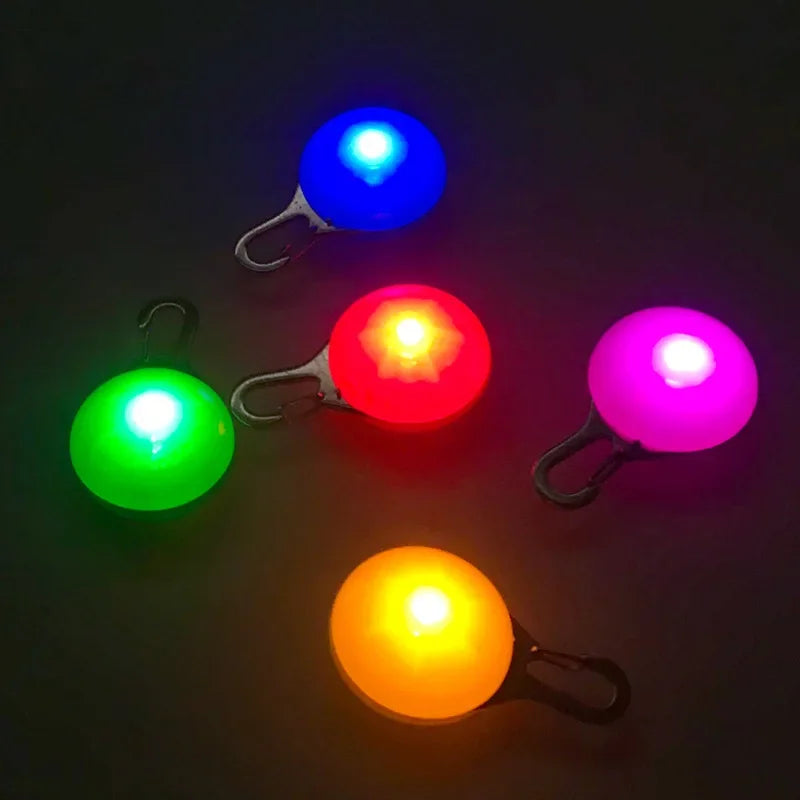Rechargeable LED Pet Collar / Sports Pendant for Night Safety Visibility