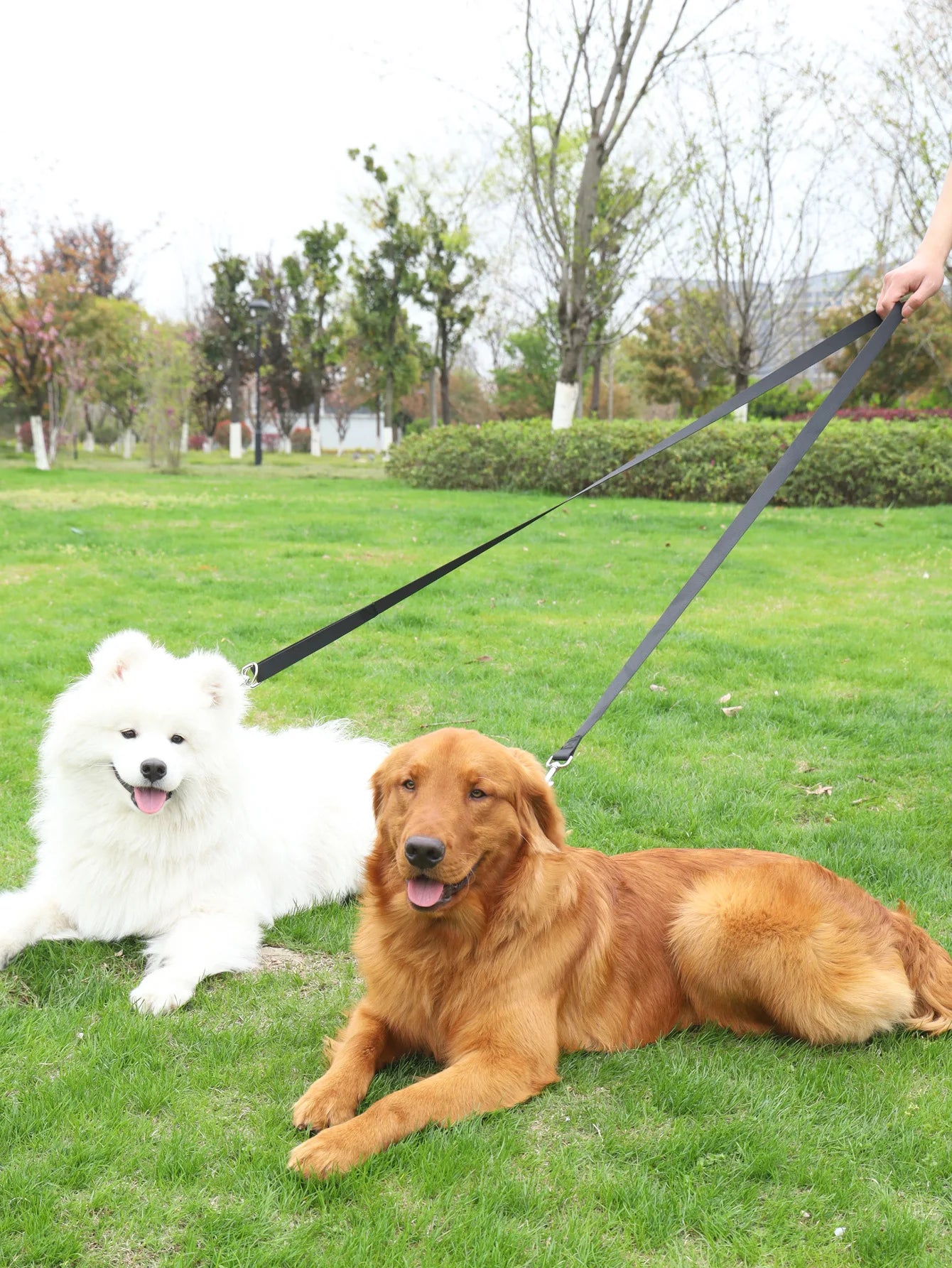 230cm Hands-Free Adjustable Multifunctional Nylon Dog Leash