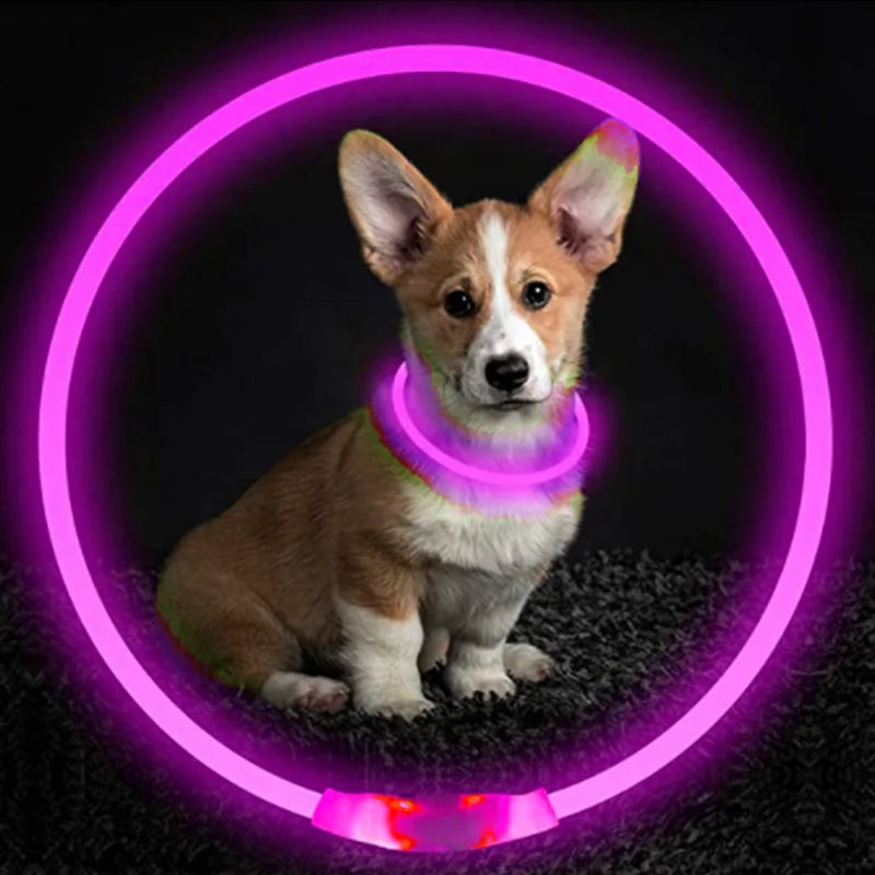 USB Rechargeable LED Luminous Safety Dog Collar - Cut-to-Fit