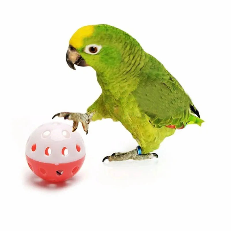 10pcs Colourful Hollow Bell Parrot Training Toy Balls
