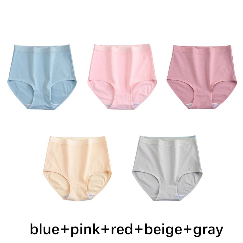 Multicolor Seamless No Show High Waist Knickers 5-Pack