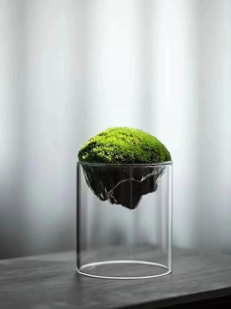 Thicken Glass Moss Bottle Creative Floating Mountain Micro-landscape Ecological Bottle Home Decorations Hydroponic Plant Vase