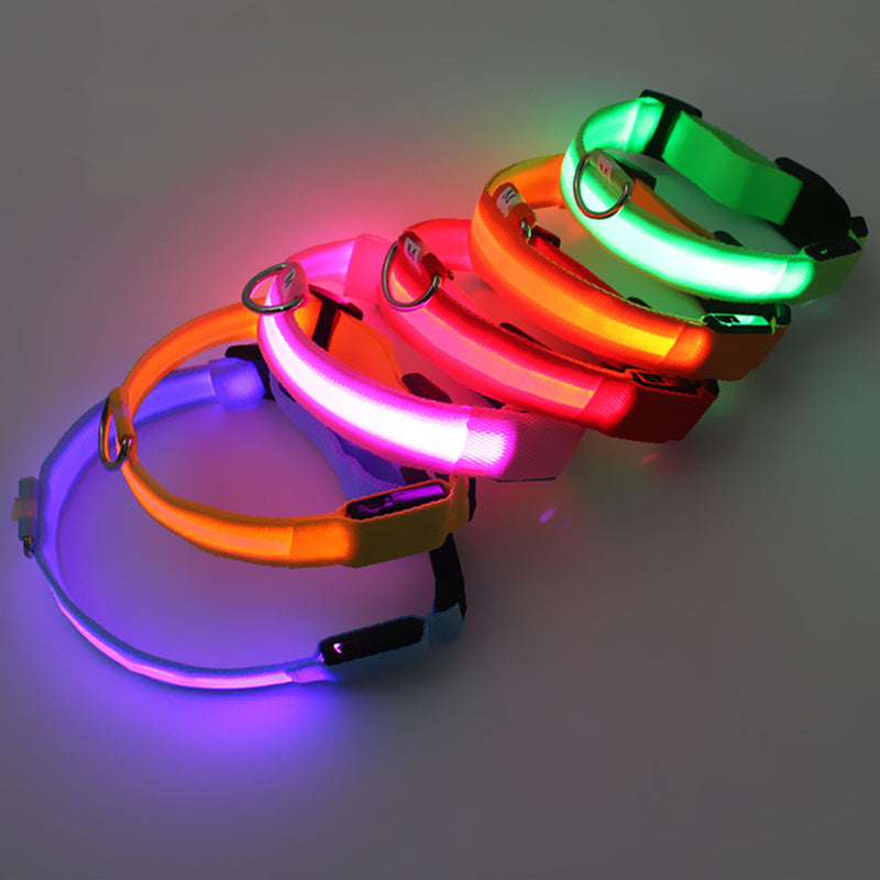 USB Rechargeable LED Luminous Safety Dog Collar - Cut-to-Fit