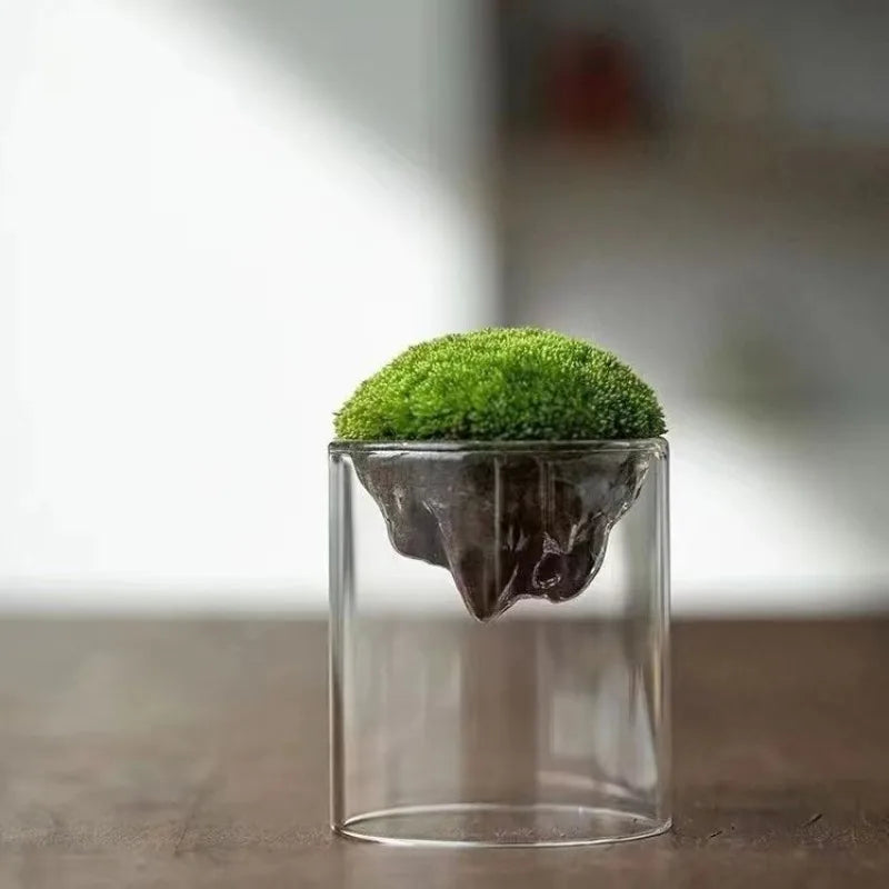 Thicken Glass Moss Bottle Creative Floating Mountain Micro-landscape Ecological Bottle Home Decorations Hydroponic Plant Vase