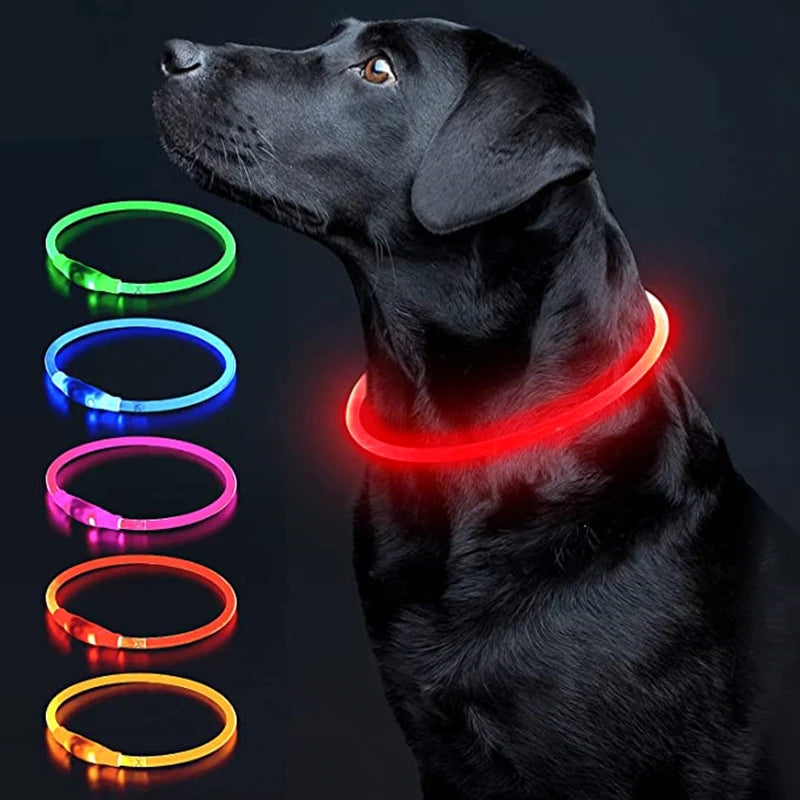 USB Rechargeable LED Luminous Safety Dog Collar - Cut-to-Fit