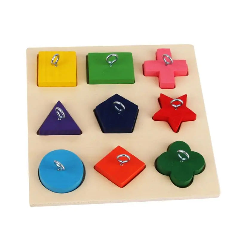 Interactive Multi-Colour Wooden Educational Parrot Training Toy