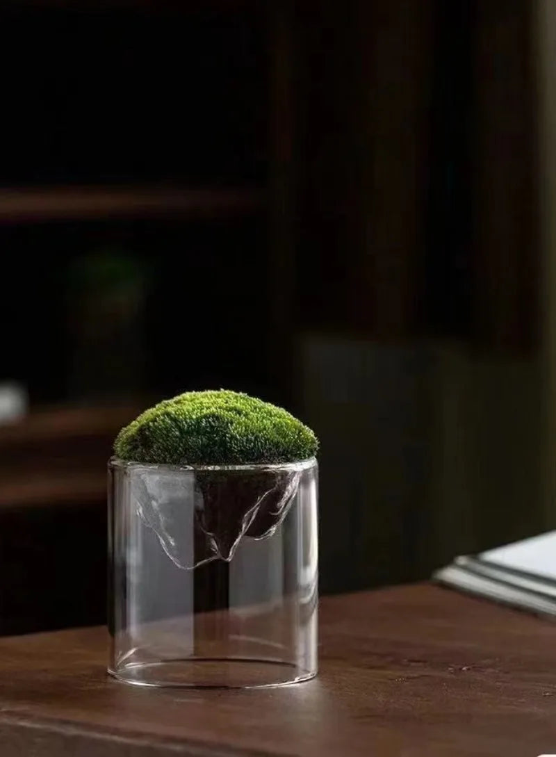 Thicken Glass Moss Bottle Creative Floating Mountain Micro-landscape Ecological Bottle Home Decorations Hydroponic Plant Vase