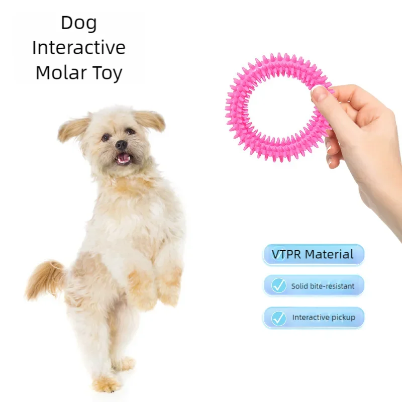 Small Dog Rubber Bone Chew Toy Bite-Resistant Training Tool