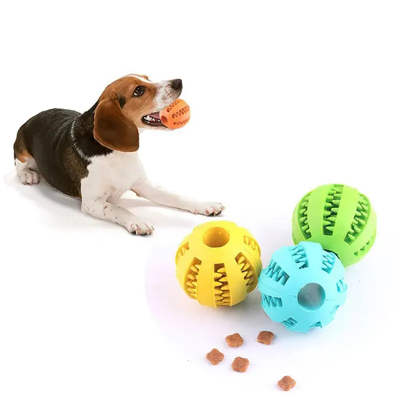 Non-Toxic Rubber Dog Treat Feeder and Tooth Cleaning Ball