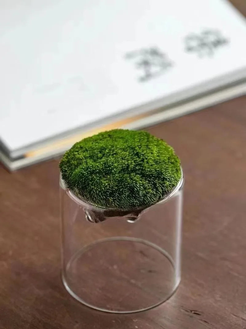 Thicken Glass Moss Bottle Creative Floating Mountain Micro-landscape Ecological Bottle Home Decorations Hydroponic Plant Vase