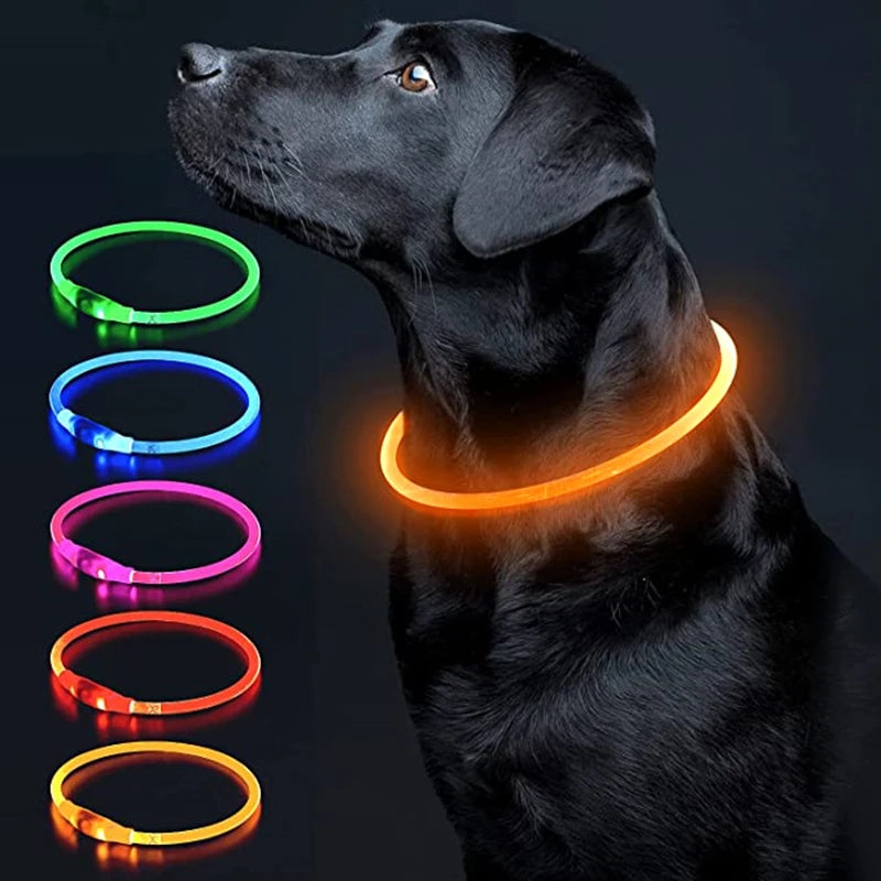 USB Rechargeable LED Luminous Safety Dog Collar - Cut-to-Fit