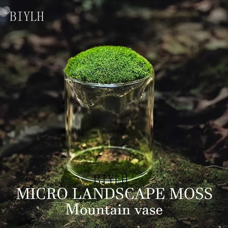 Thicken Glass Moss Bottle Creative Floating Mountain Micro-landscape Ecological Bottle Home Decorations Hydroponic Plant Vase