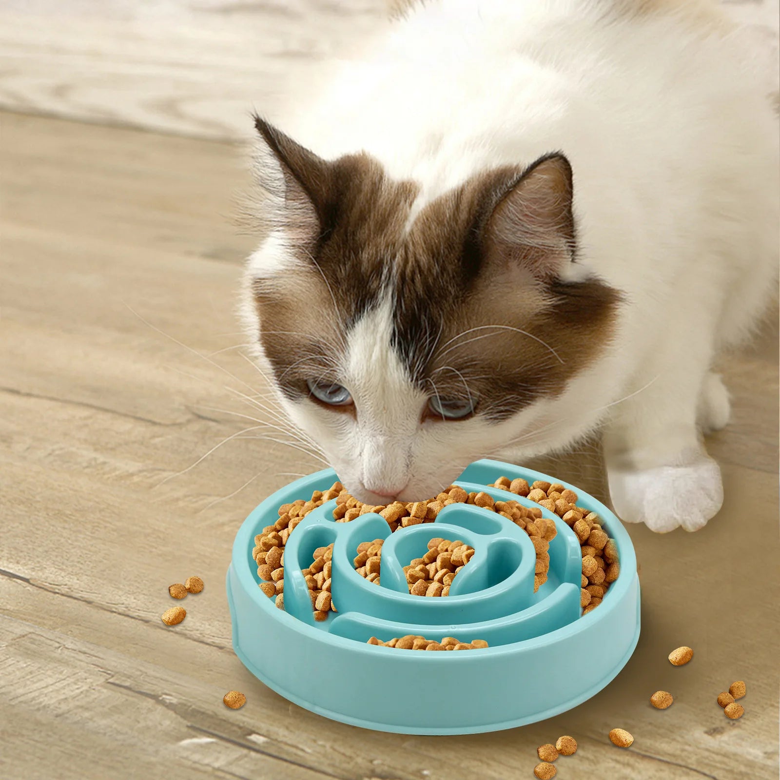 Universal Non-Slip Slow Feeder Pet Bowl