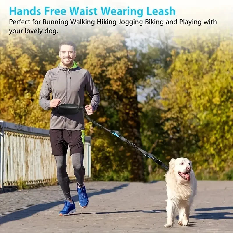 Hands-Free Adjustable Dog Running Leash for Active Breeds