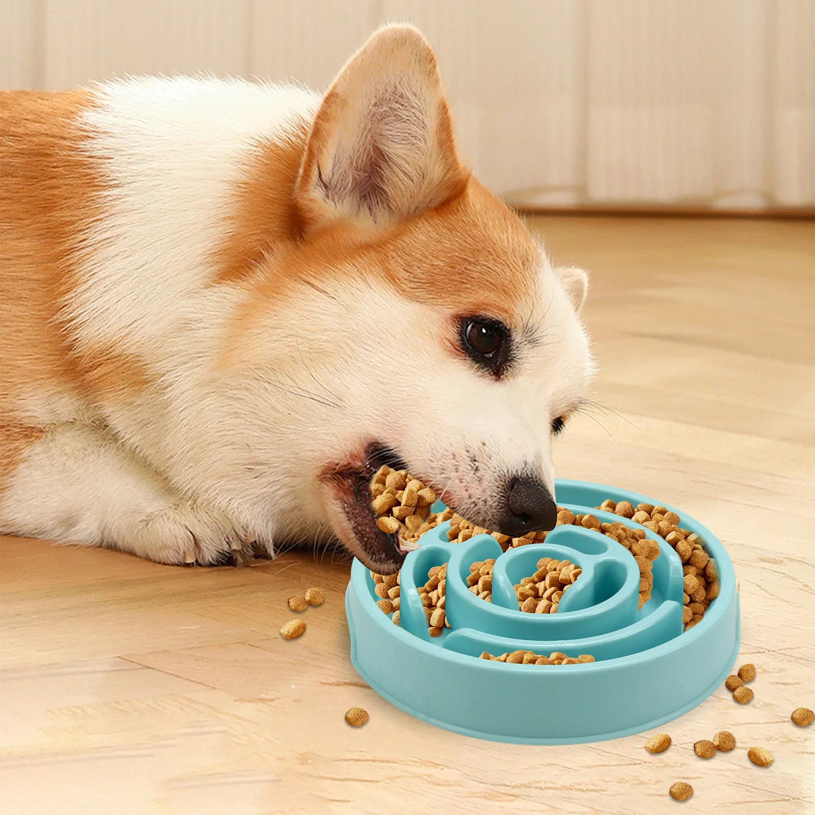 Universal Non-Slip Slow Feeder Pet Bowl