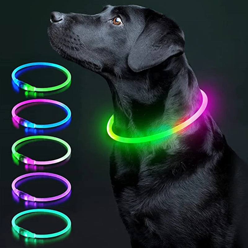 USB Rechargeable LED Luminous Safety Dog Collar - Cut-to-Fit