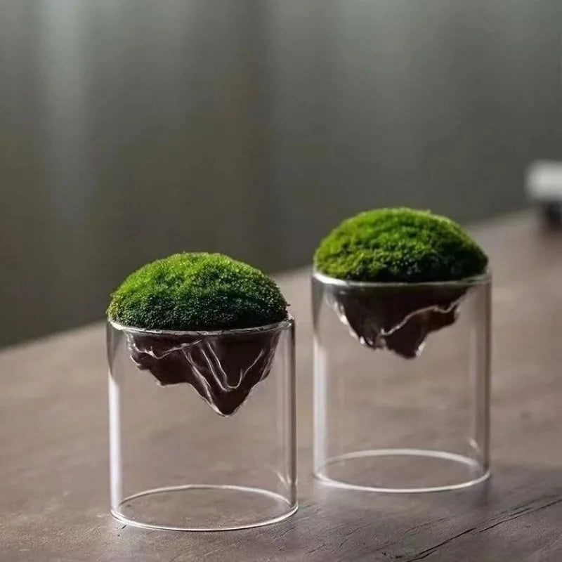 Thicken Glass Moss Bottle Creative Floating Mountain Micro-landscape Ecological Bottle Home Decorations Hydroponic Plant Vase