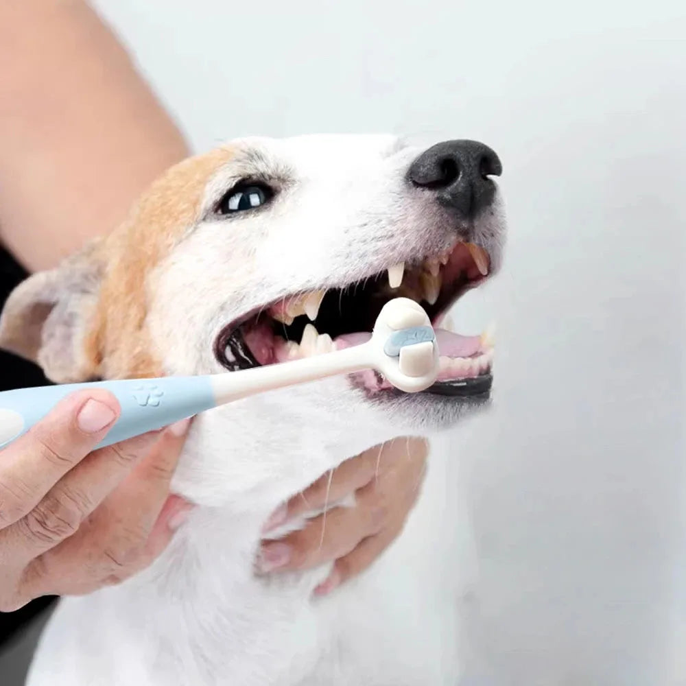 Escova de Dentes para Animais de Estimação 360 Graus Cabeça de Escova de 3 Lados Limpa Suavemente Gengivas e Dentes Conjunto de Pasta de Dentes e Escova de Dentes para Cães e Gatos