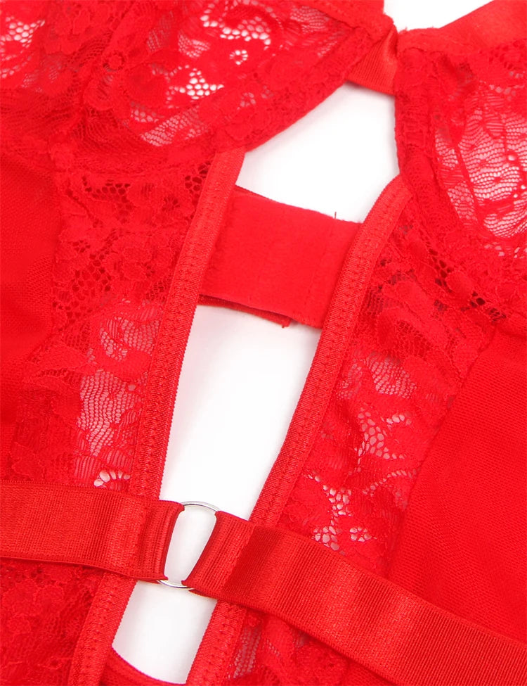 Lace and Mesh Teddy Bodysuit with Garter Set