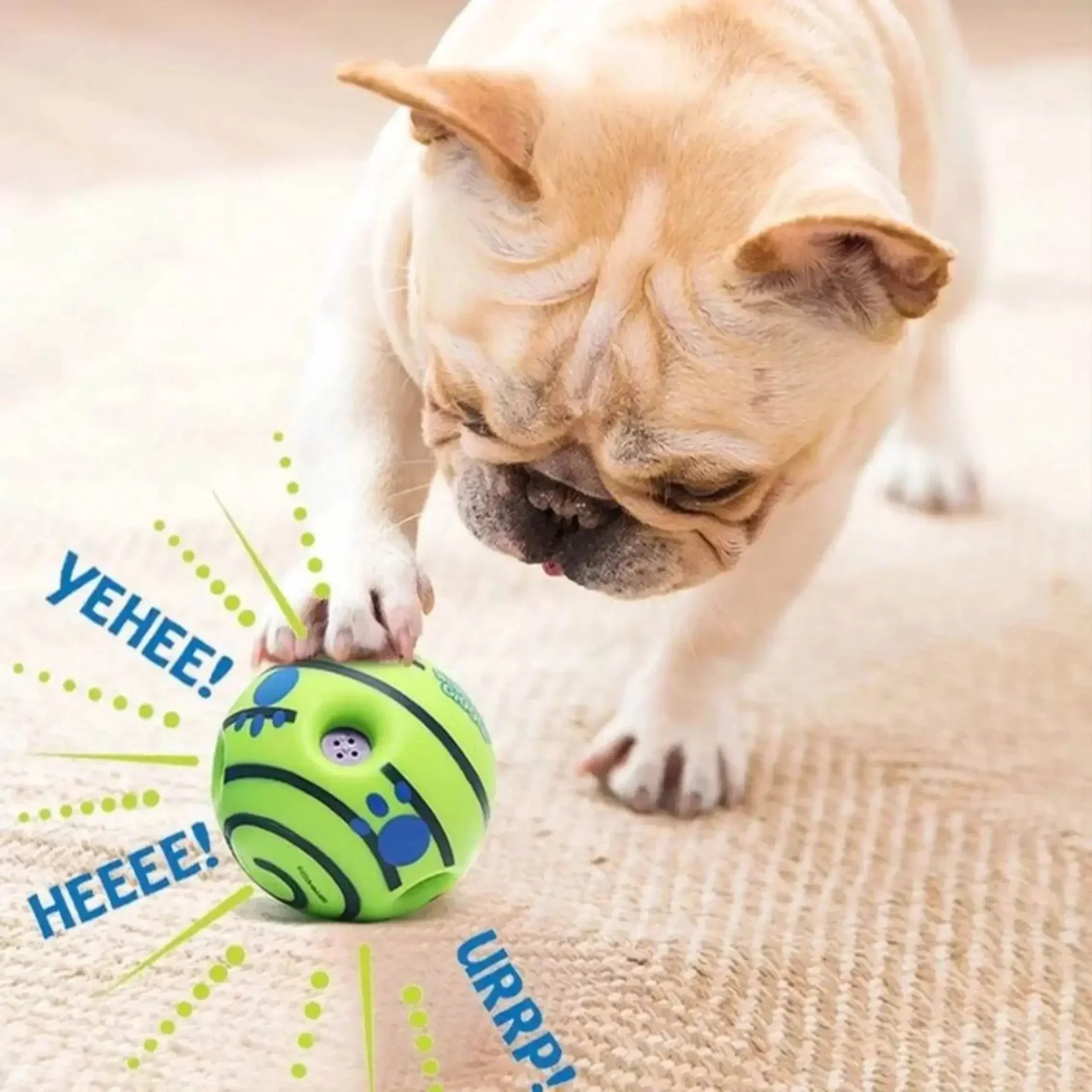 Interactive Wobble Wag Giggle Sound Emitting Glow Ball